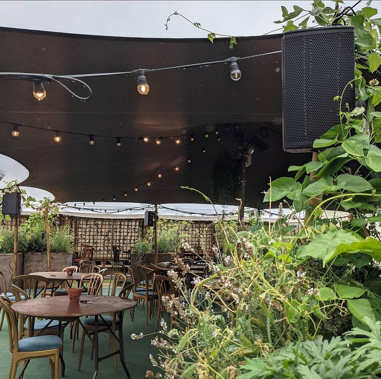 Star tent rental hotsell